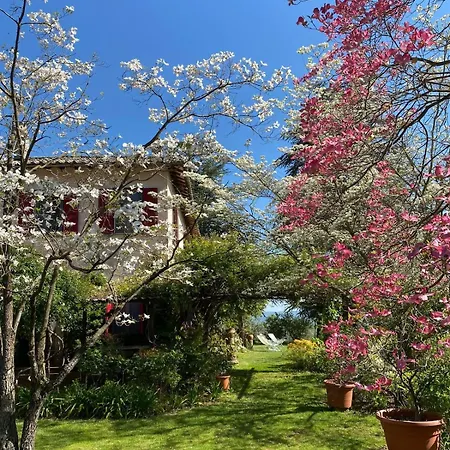 Villa Passonovo, Italian In Orvieto *